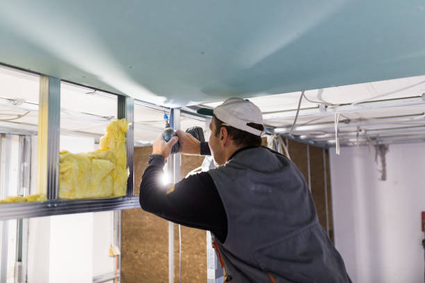 Best Residential Insulation in Lake Leann, MI