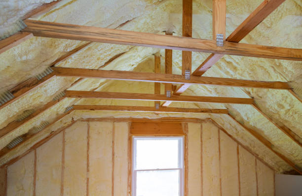 Best Insulation Maintenance and Repair in Lake Leann, MI