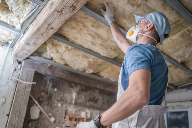 Reliable Lake Leann, MI Insulation Contractor Solutions