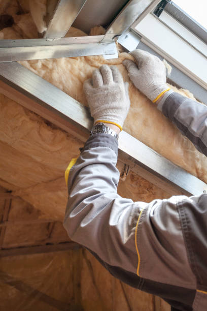 Types of Insulation We Offer in Lake Leann, MI