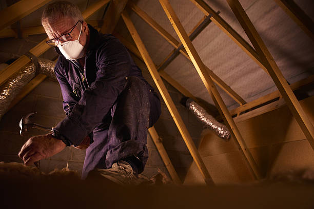 Best DIY Insulation Kits and Guidance in Lake Leann, MI